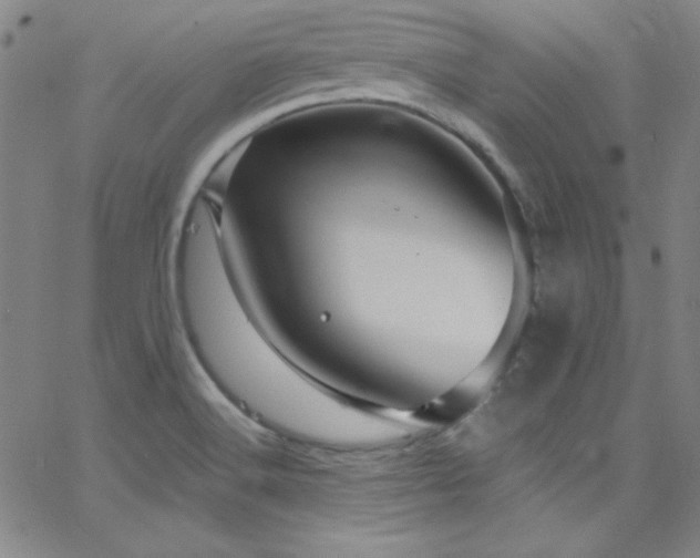 X0000068771516200604281225