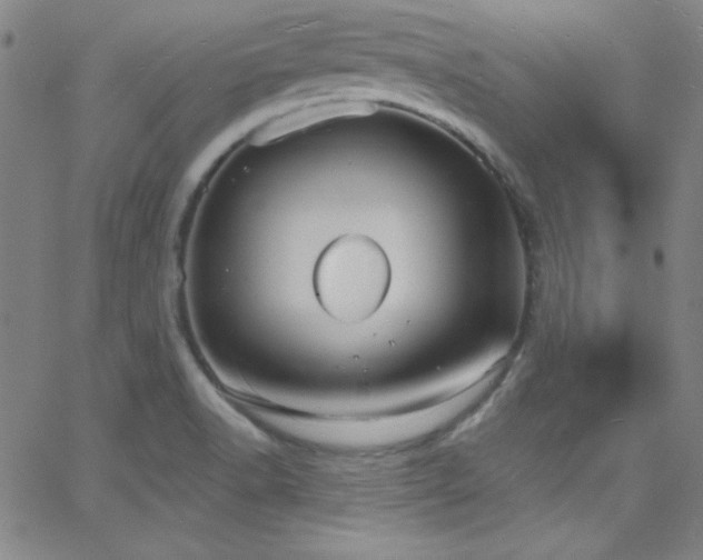 X0000068771518200604281225