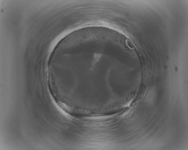 X0000068771519200604281225