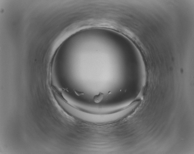 X0000068771520200604281225