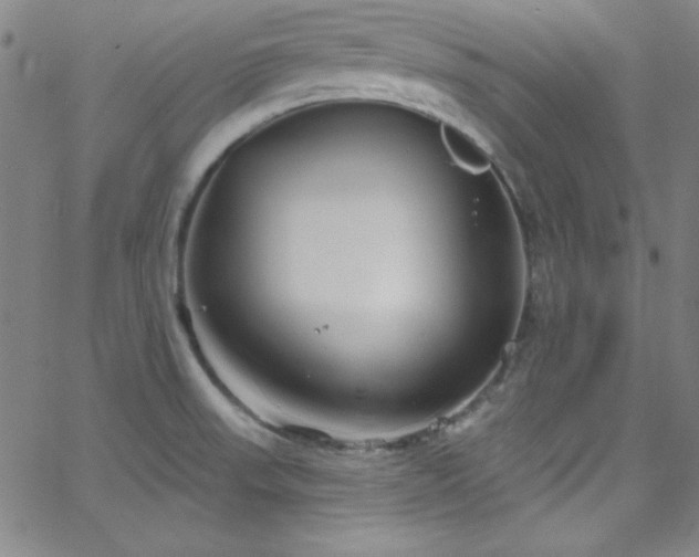 X0000068771523200604281225