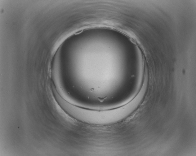 X0000068771524200604281225