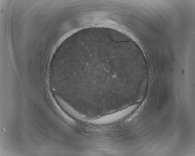 X0000068771525200604281225