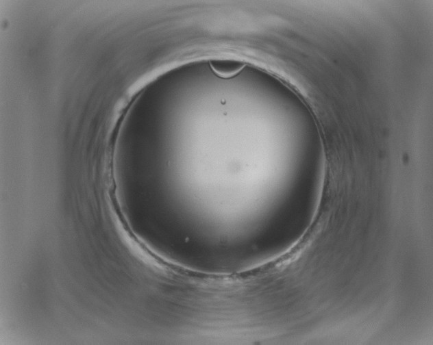 X0000068771526200604281225