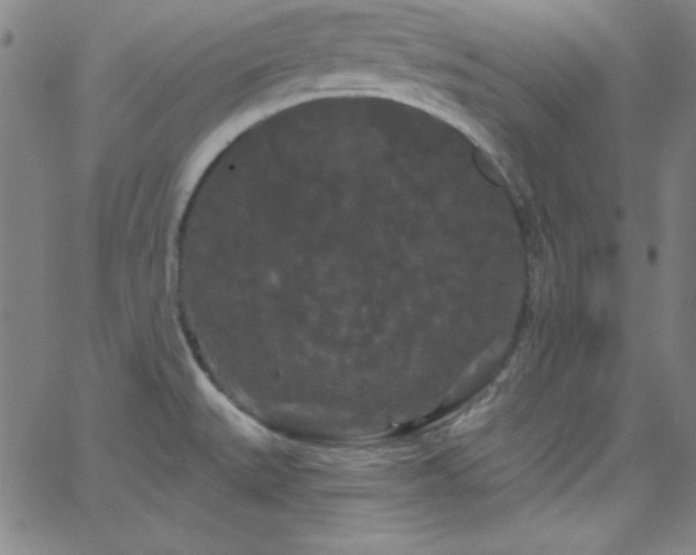 X0000068771527200604281225