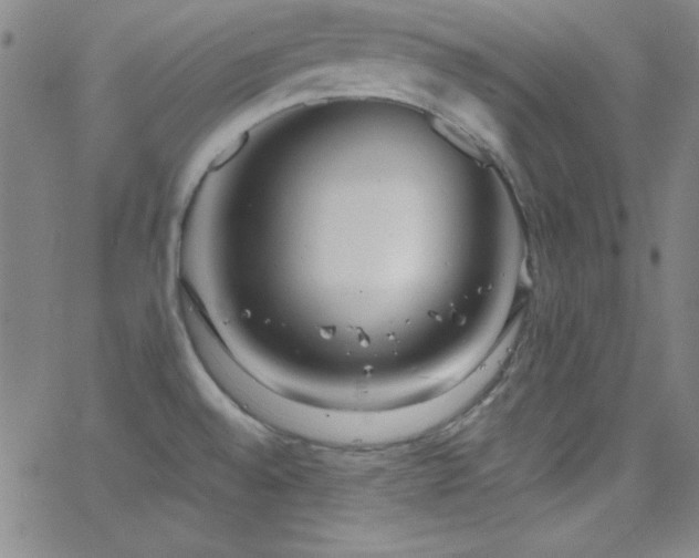 X0000068771528200604281225