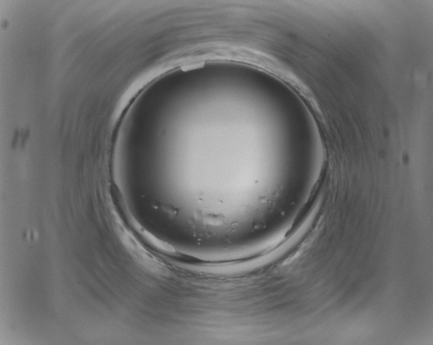 X0000068771530200604281225