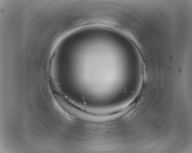 X0000068771532200604281225