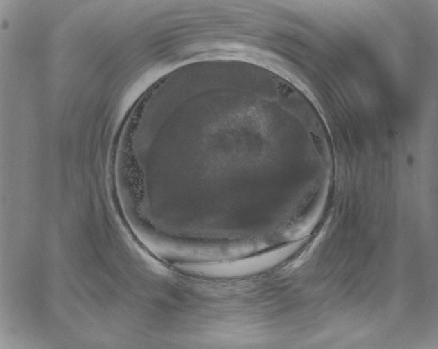 X0000068771533200604281225