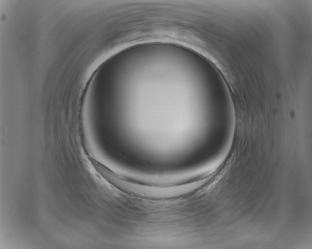 X0000068771534200604281225