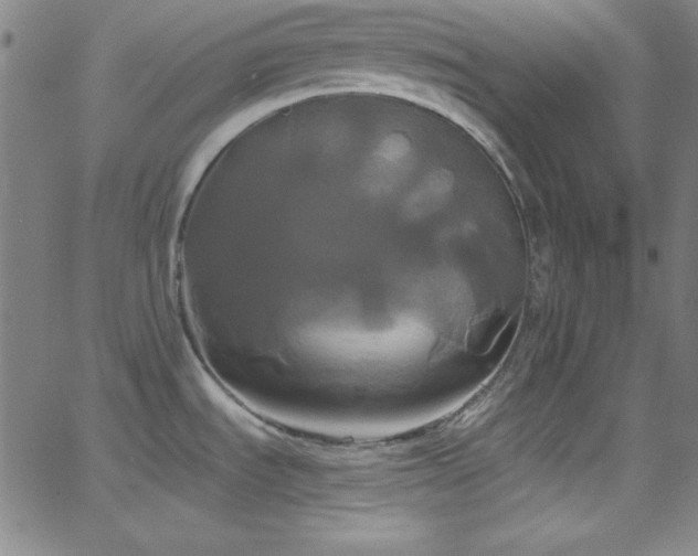 X0000068771535200604281225