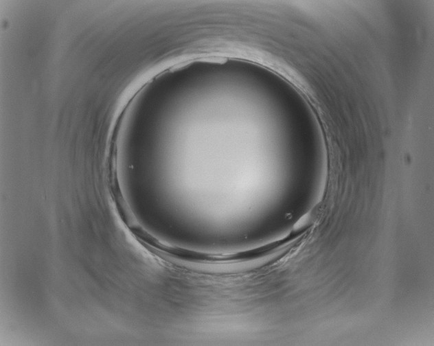 X0000068771536200604281225