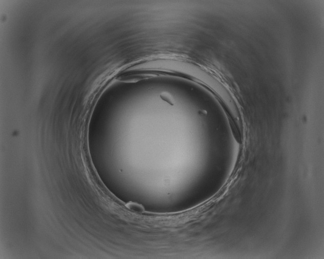 X0000068770001200605011039