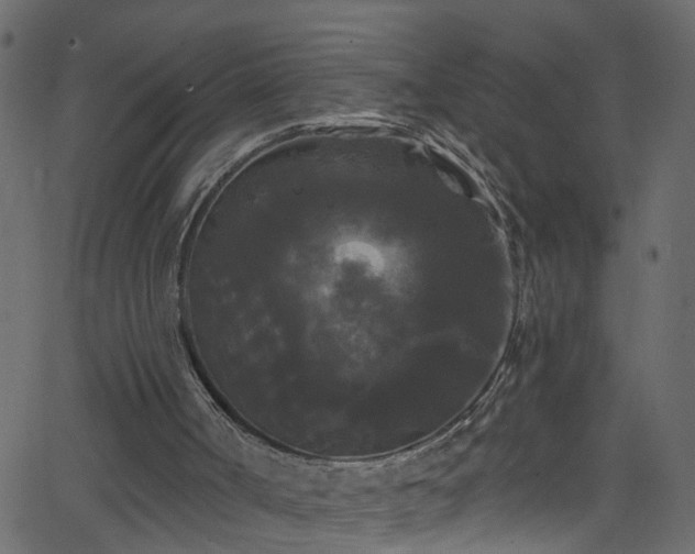 X0000068770002200605011039