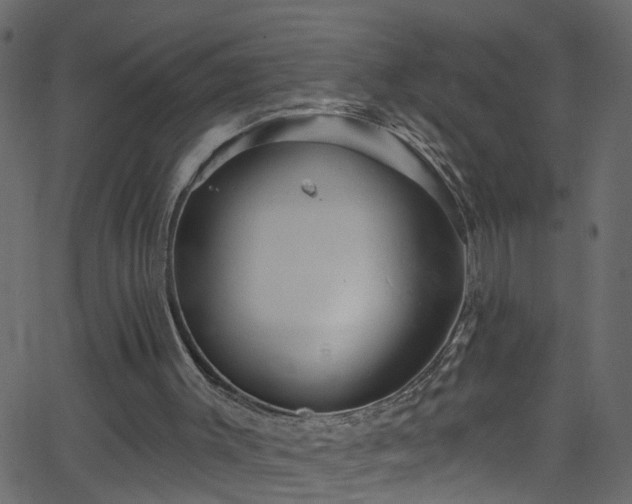 X0000068770003200605011039