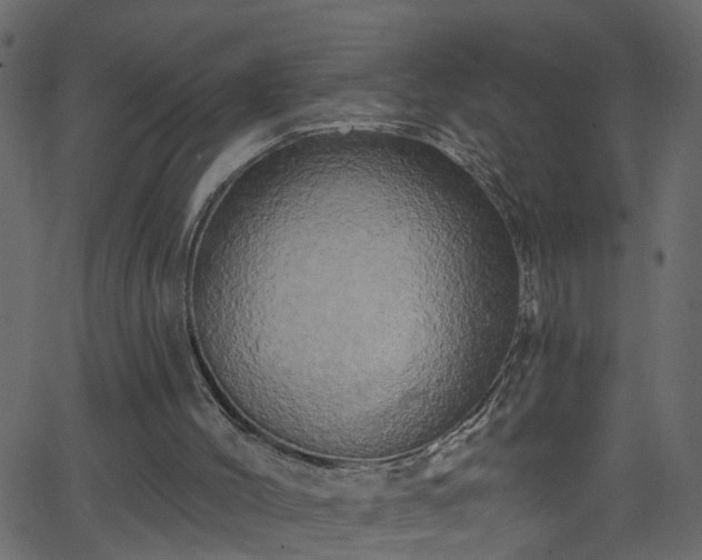 X0000068770004200605011039