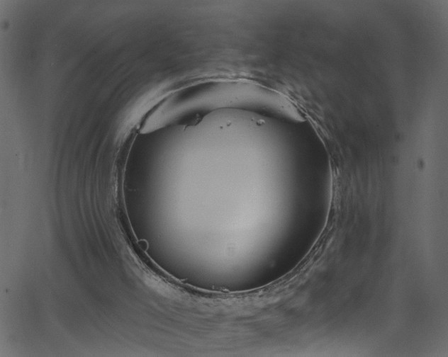 X0000068770005200605011039