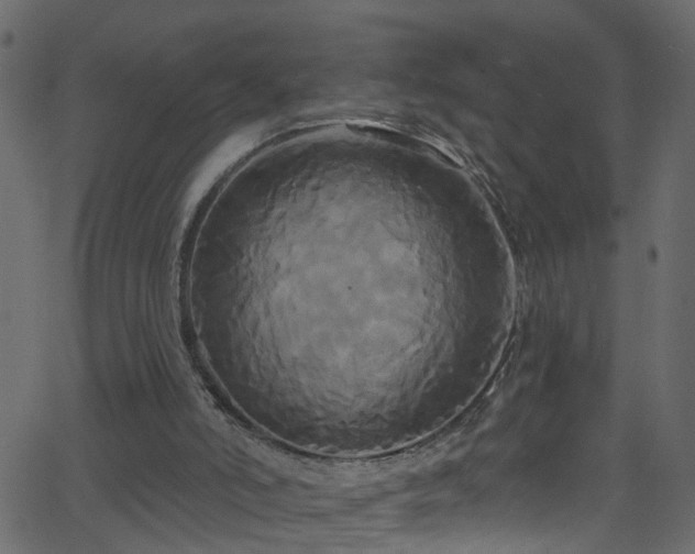 X0000068770006200605011039