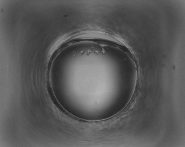 X0000068770007200605011039