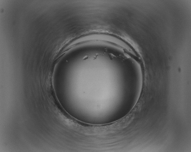 X0000068770009200605011039