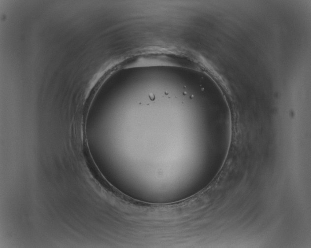 X0000068770011200605011039