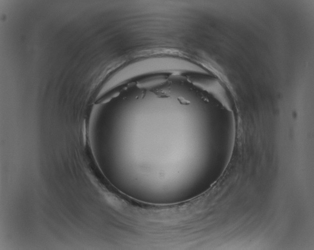 X0000068770013200605011038