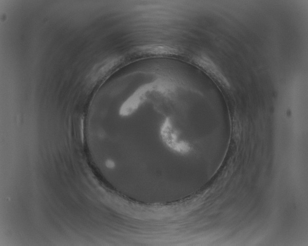 X0000068770014200605011038