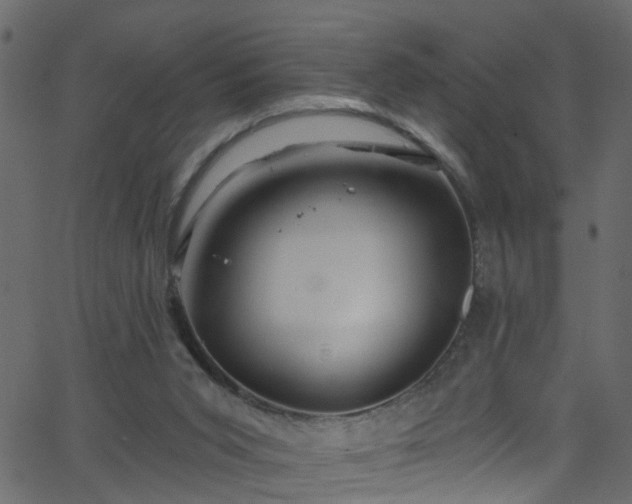 X0000068770015200605011038