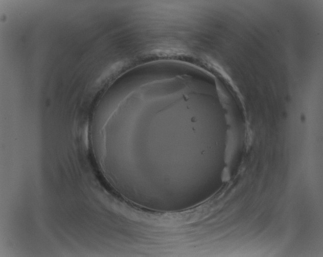 X0000068770019200605011038