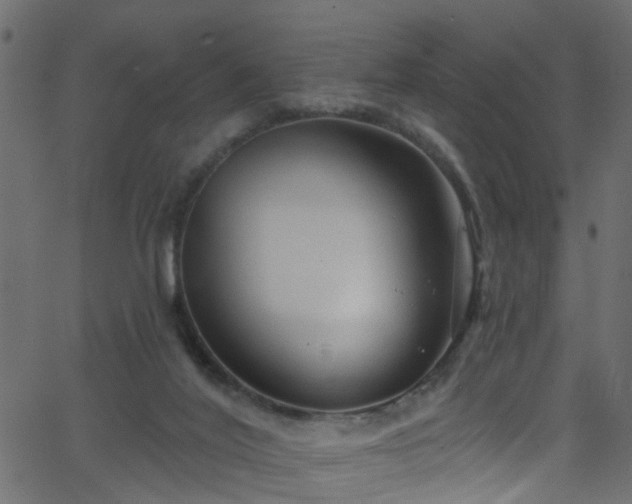 X0000068770020200605011038