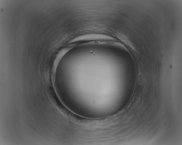 X0000068770021200605011038