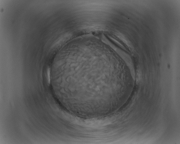 X0000068770022200605011038