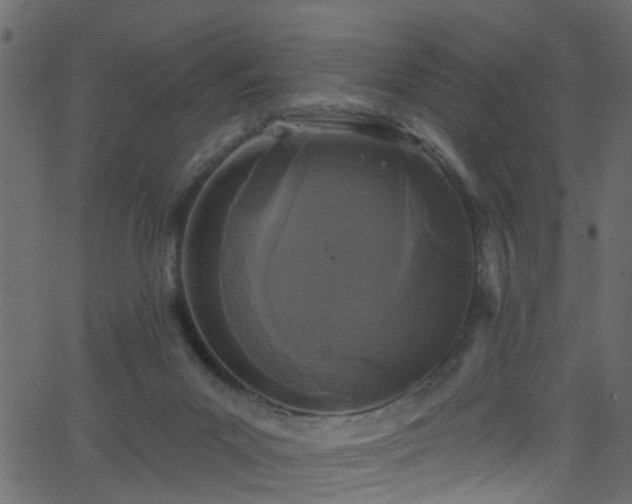 X0000068770023200605011038