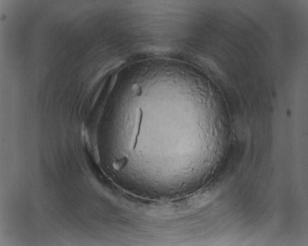 X0000068770024200605011038