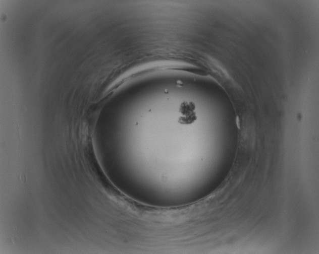 X0000068770025200605011038