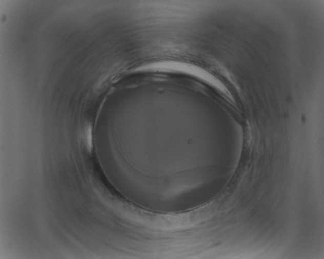 X0000068770027200605011038