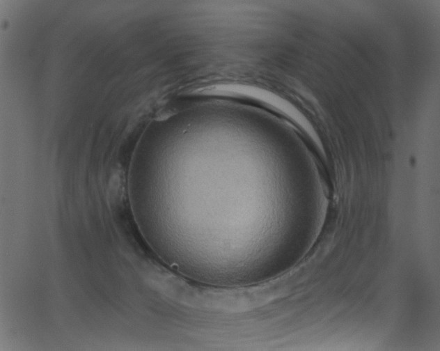 X0000068770029200605011038