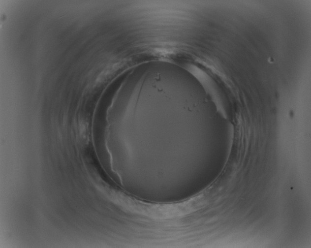 X0000068770031200605011038