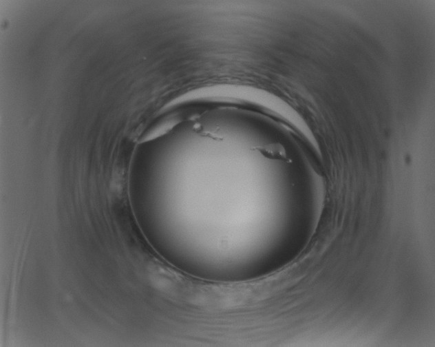 X0000068770033200605011038