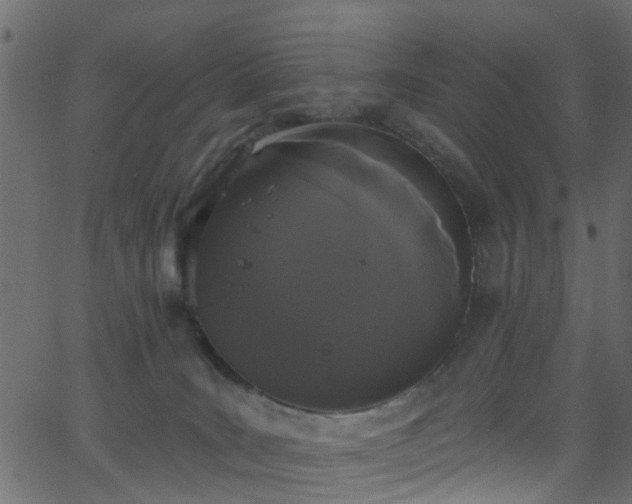 X0000068770035200605011038