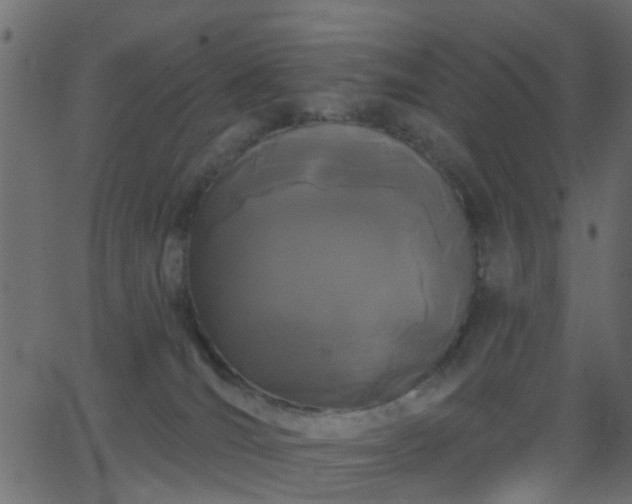 X0000068770036200605011038