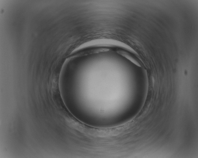 X0000068770037200605011038