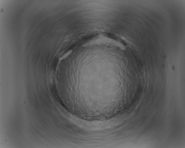 X0000068770038200605011038