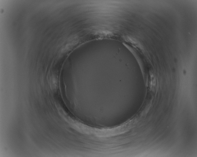 X0000068770039200605011038