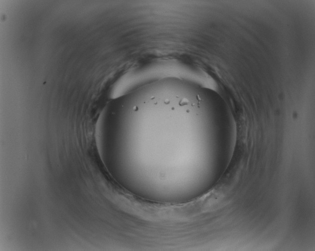 X0000068770040200605011038