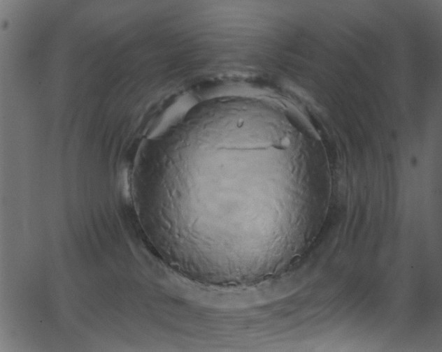 X0000068770042200605011038