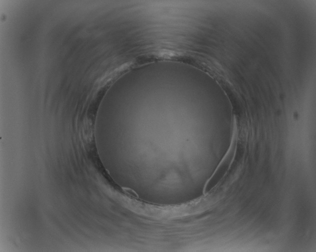 X0000068770043200605011038