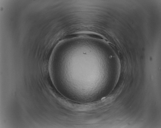 X0000068770044200605011038