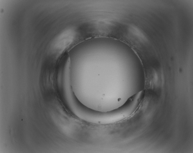 X0000068770045200605011038