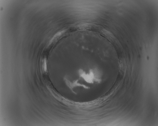 X0000068770046200605011038